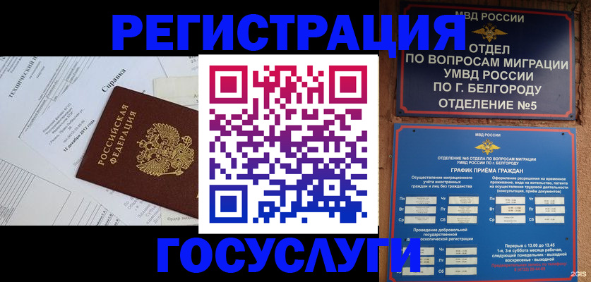 временная прописка в Новодвинске